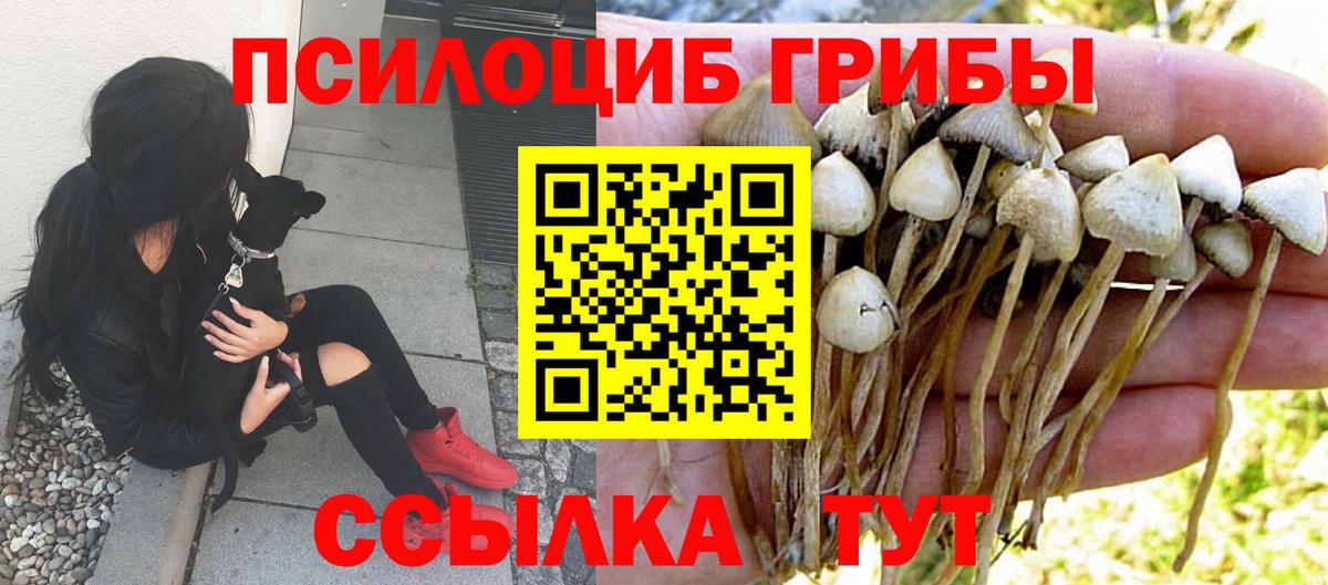Галлюциногенные грибы MAGIC MUSHROOMS Надым